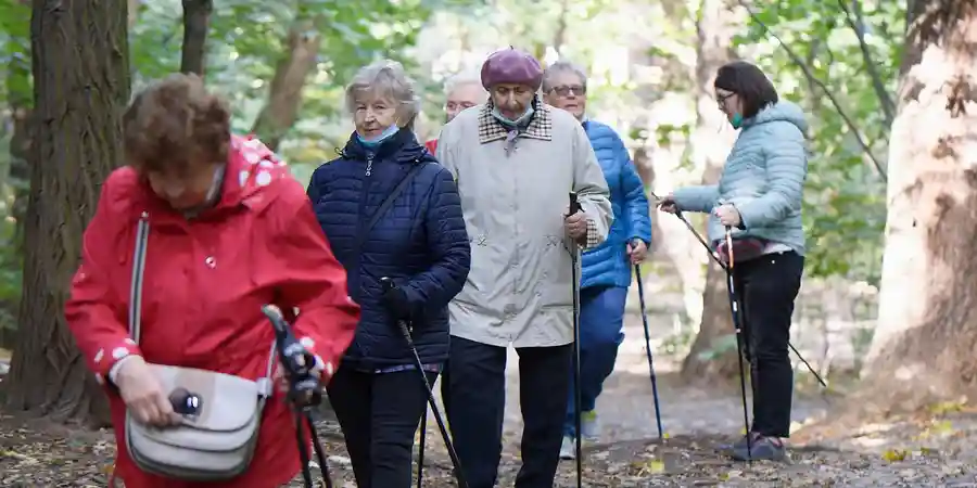 ELDERLY DEFINITION FOR KIDS visual data 2